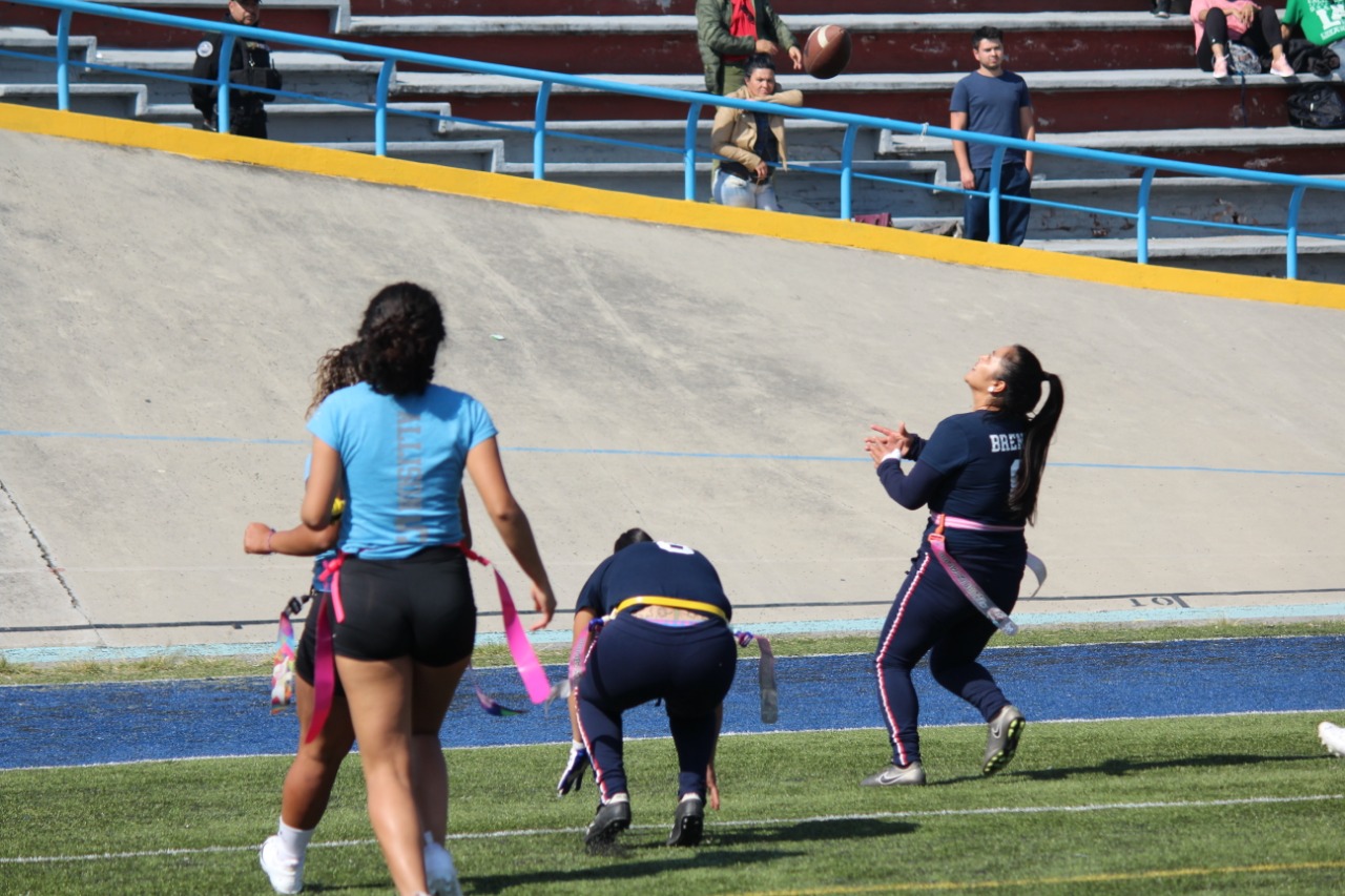 tochofemenil5.jpeg