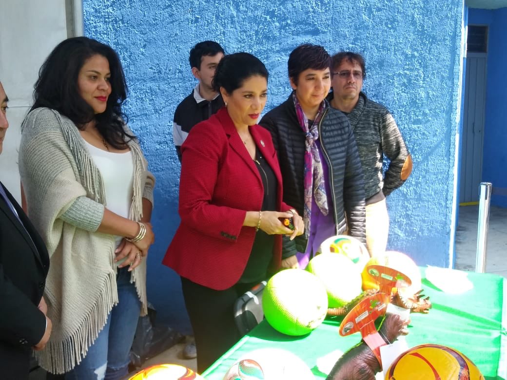 Sí al desarme, colonia Insurgentes 1.jpg