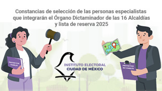 ORGANOS DICTAMINADORES.jpg